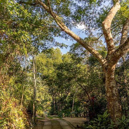 La Luciole Ecolodge Парати Экстерьер фото