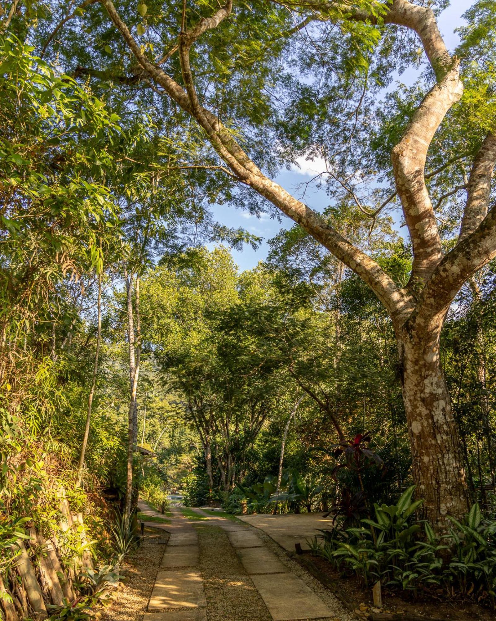 La Luciole Ecolodge Парати Экстерьер фото